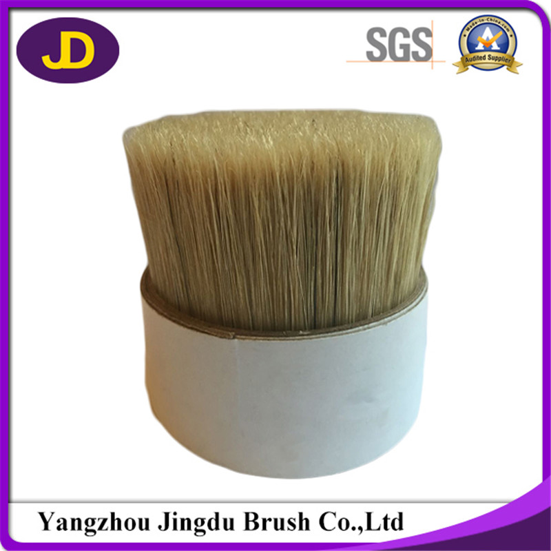 Supply White Pure Chungking Boiled Broom Bristle